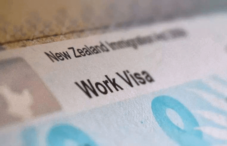 A visual representation of a work visa for India, highlighting important details and government seals for work authorization.